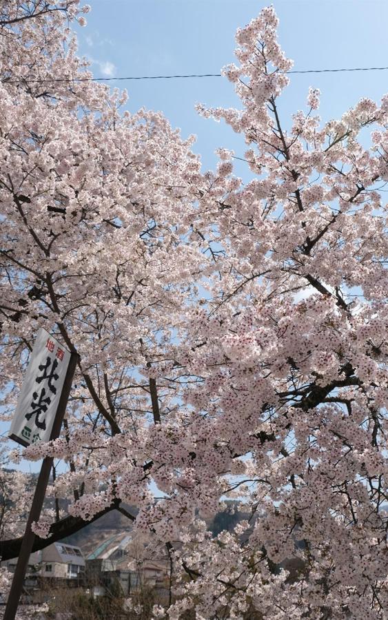 Address Nozawa Apartman Kültér fotó